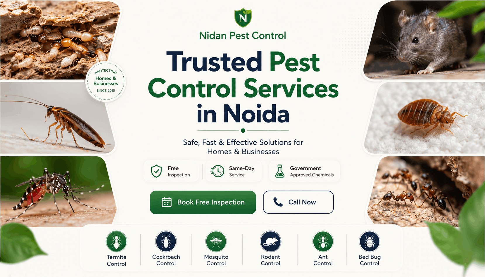 pest control noida (1)
