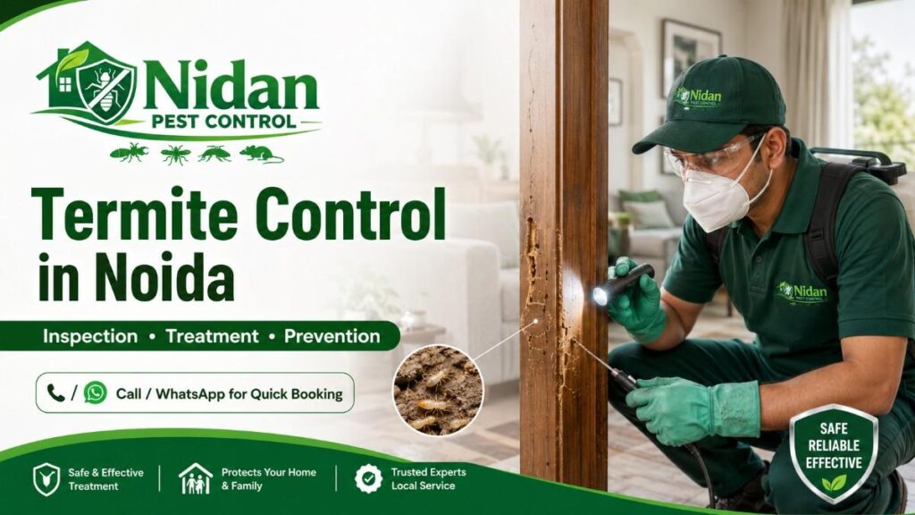 termite control noida